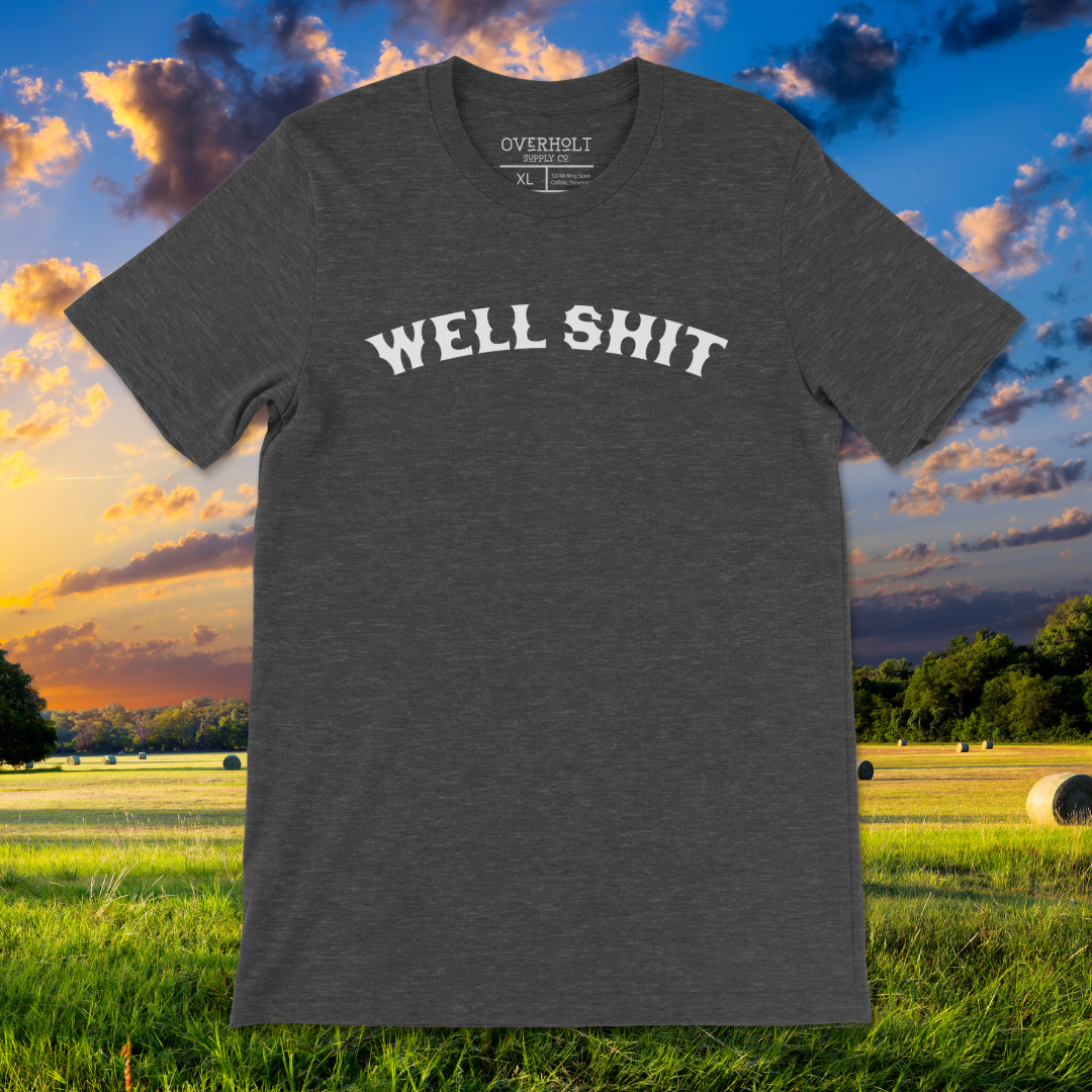 A gray t-shirt with the text 'WELL SHIT' printed across the front, displayed on a grassy field with a sunset in the background.