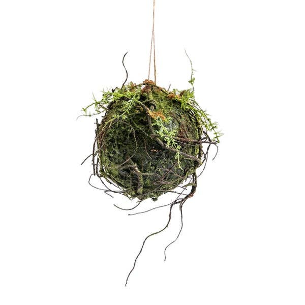 Hanging Moss Ball