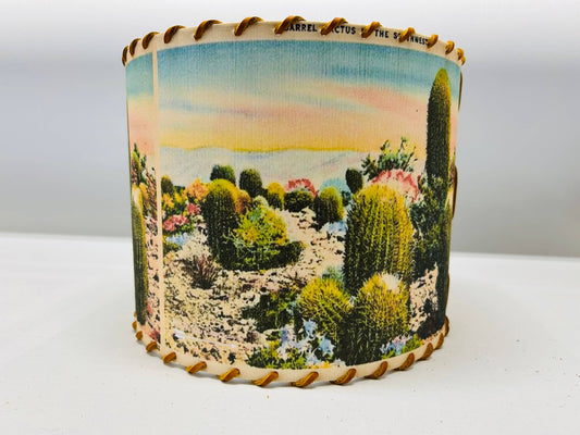 Lampshade Barrel Cactus