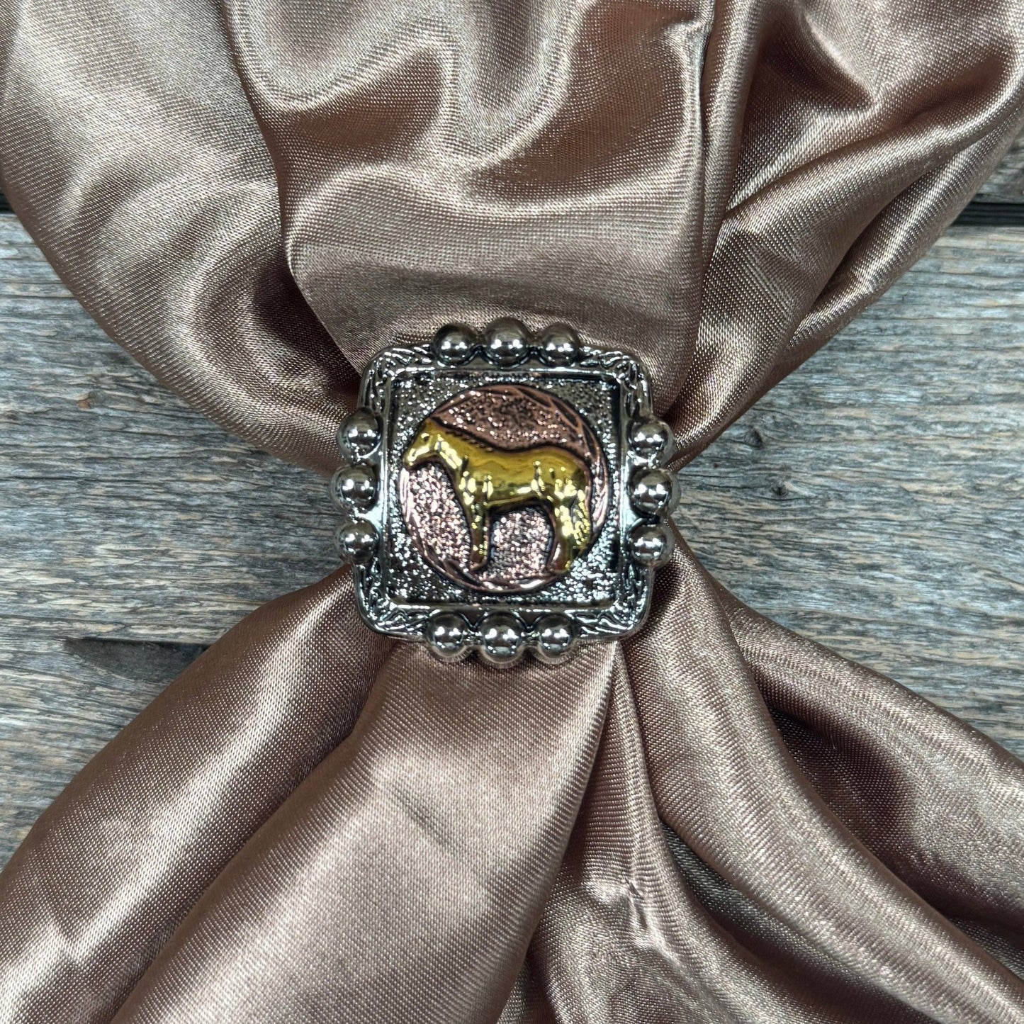 Antique Silver Western Concho