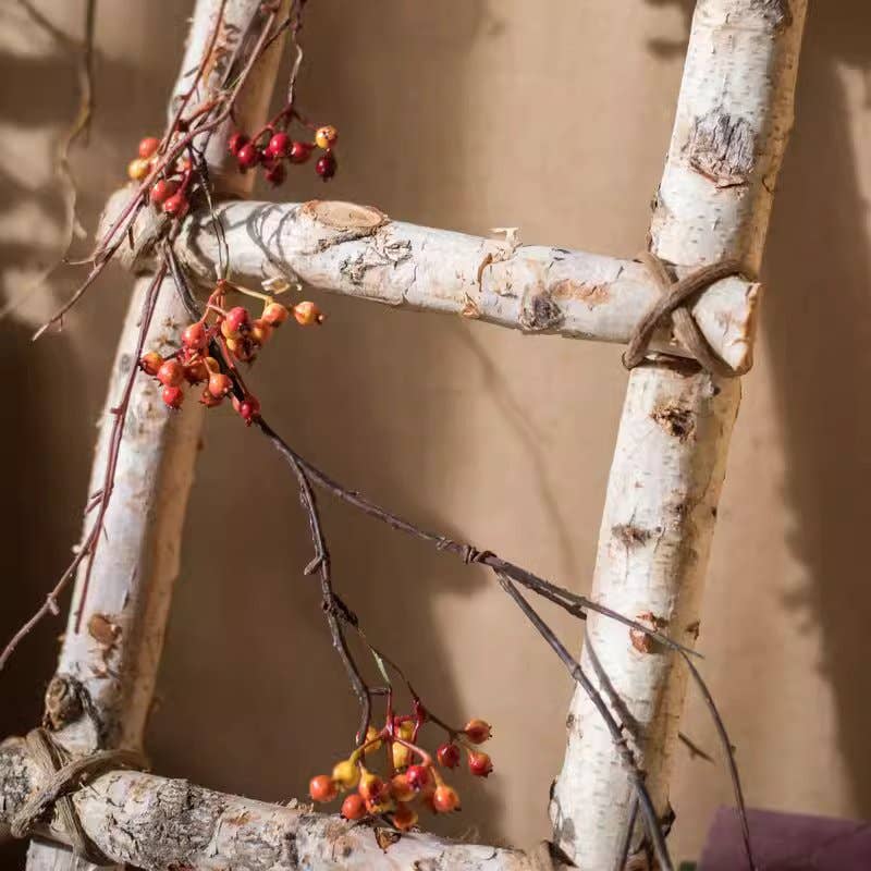 White Birch Wood Decorative Ladder: Large