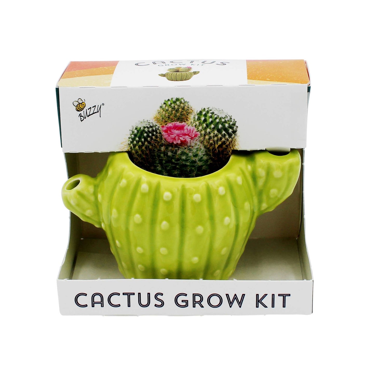 Classic Cactus Grow Kit – Terracotta Indoor Plant Gift