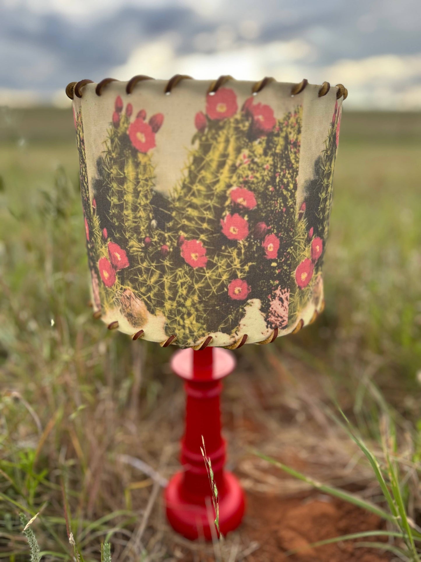 Lampshade White Sands Cactus