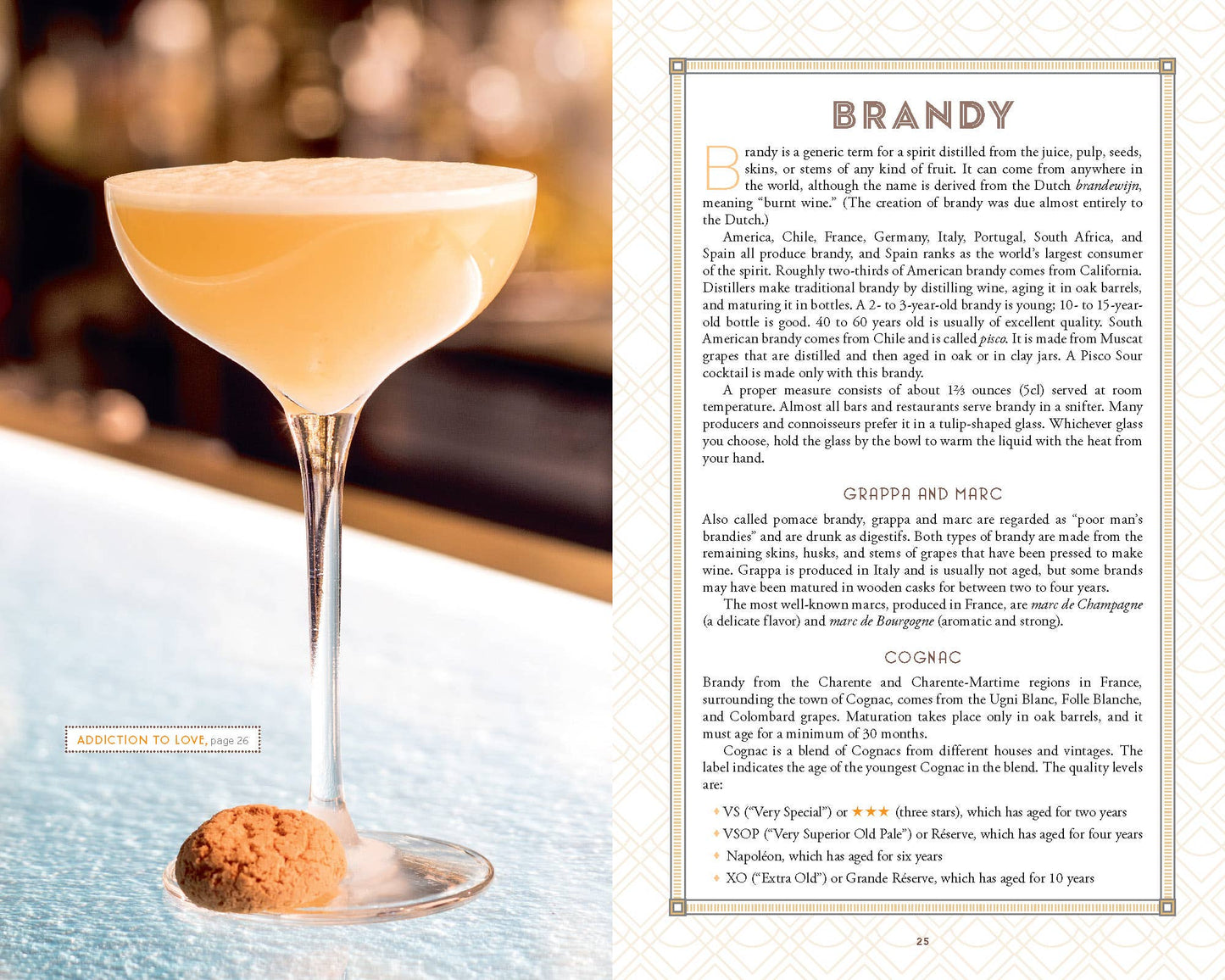 Bartender's Guide Cocktail Book