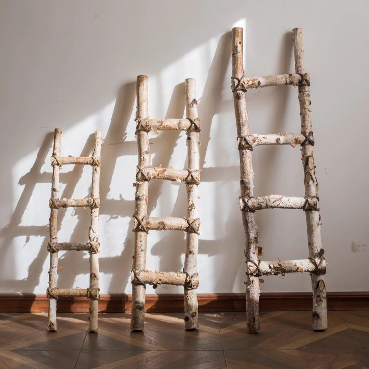 White Birch Wood Decorative Ladder: Large