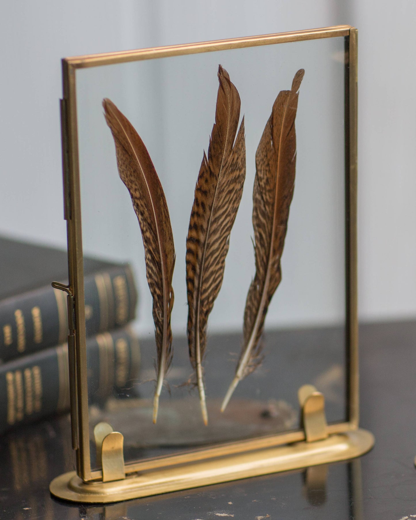 4 X 6 Brass Frame