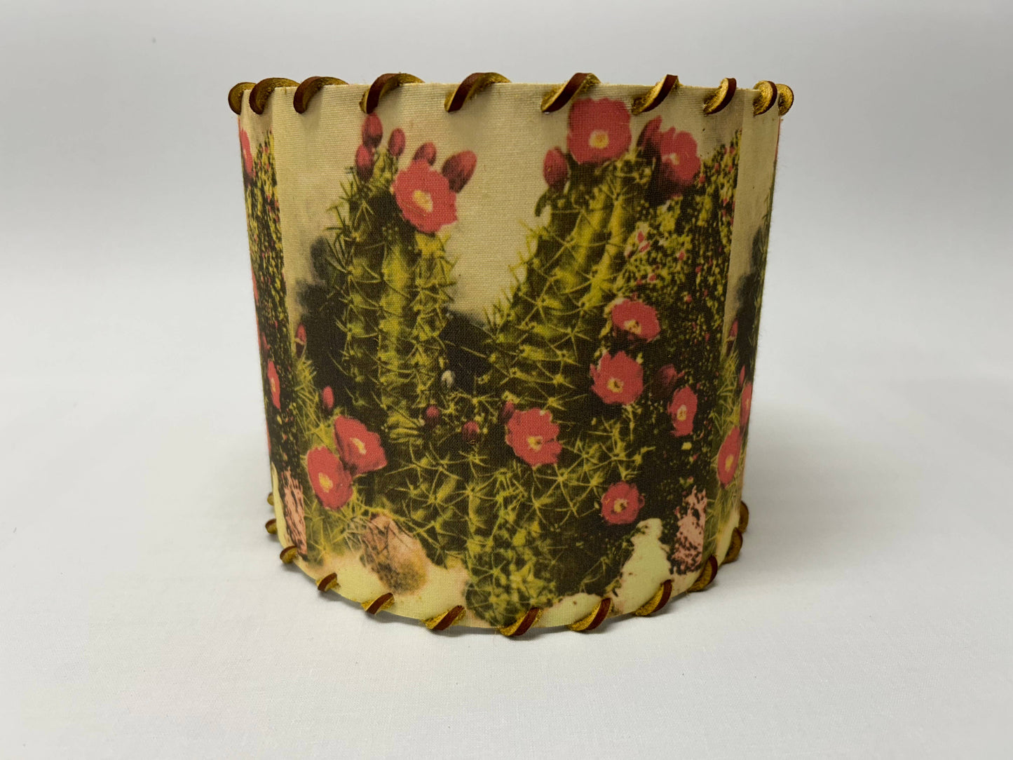 Lampshade White Sands Cactus