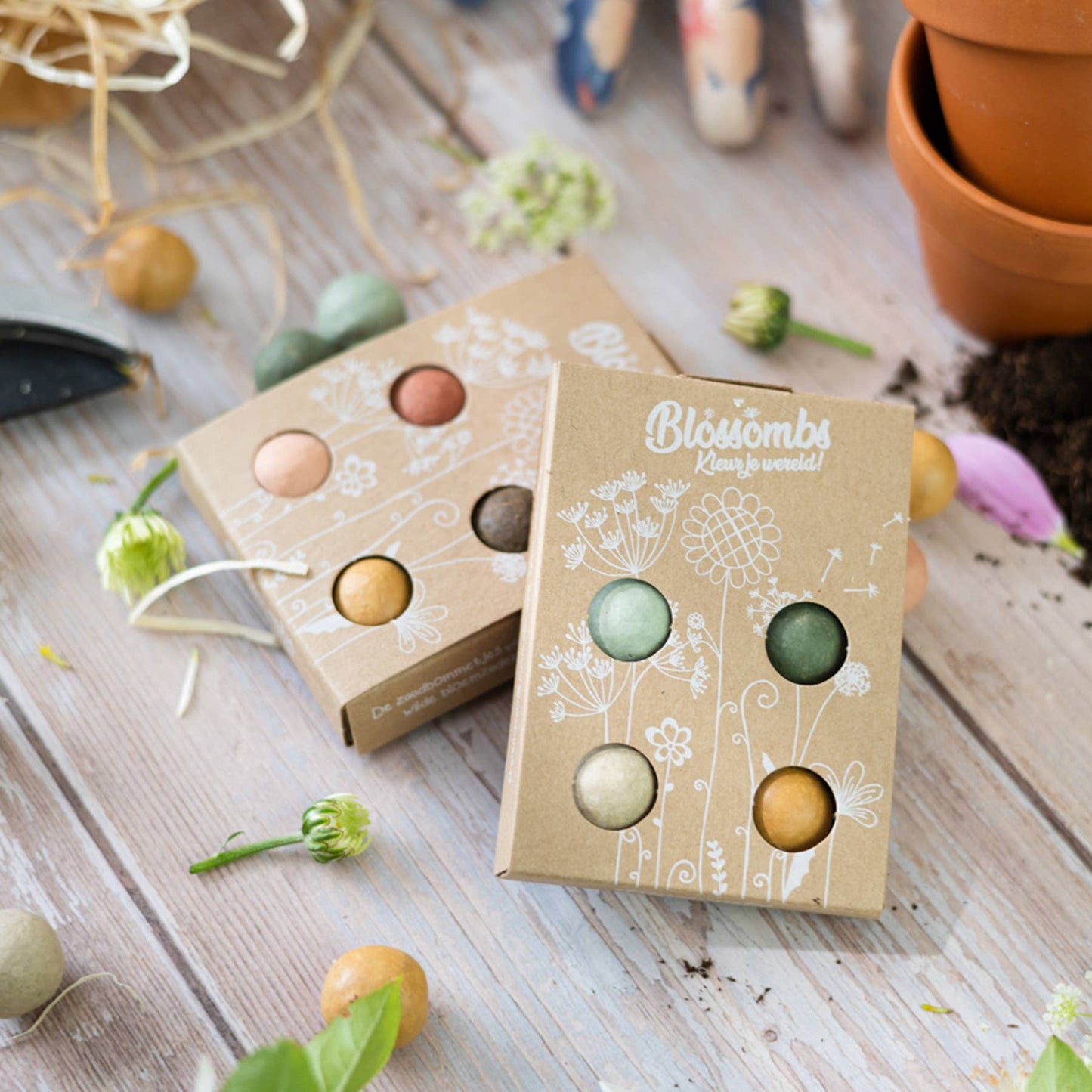 4 Seed Bomb Gift Set