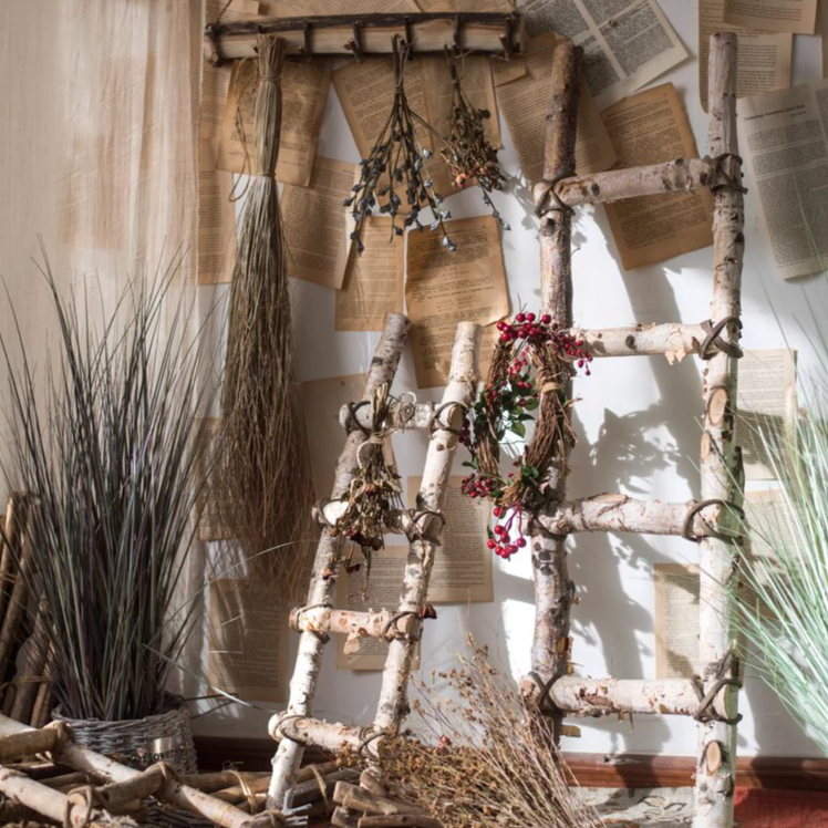 White Birch Wood Decorative Ladder: Large