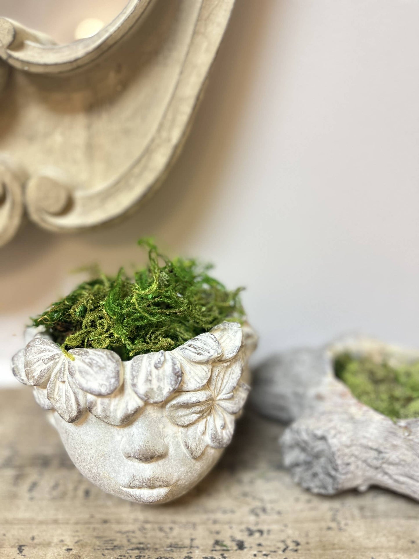 succulent planter